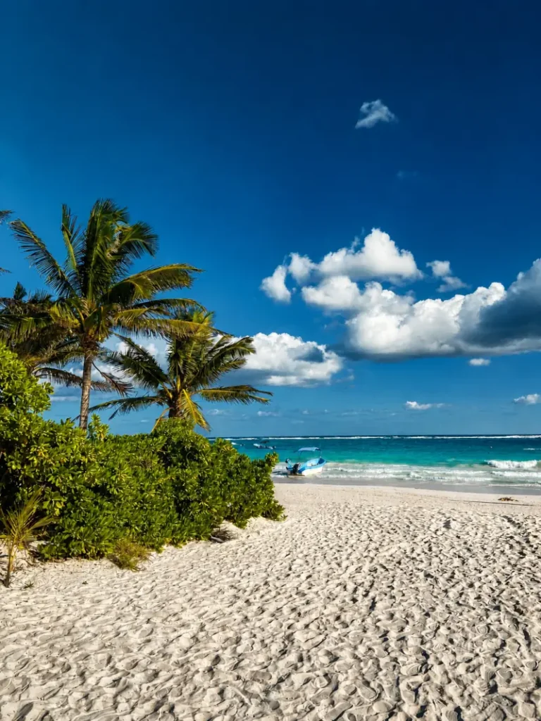 Beach view close to Cancun during the UNTAMED Mexico Retreat