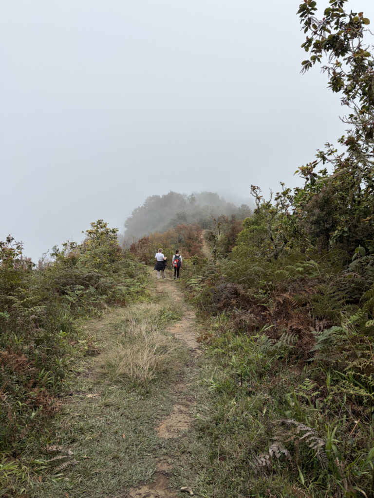 View from Cerro de la Adoración in Huautla de Jiménez, Oaxaca
